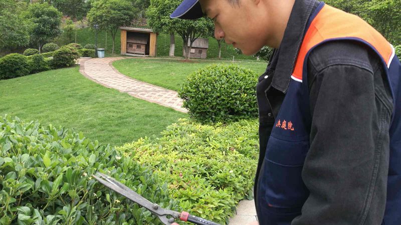 冬季绿化养护：关键要点与注意事项