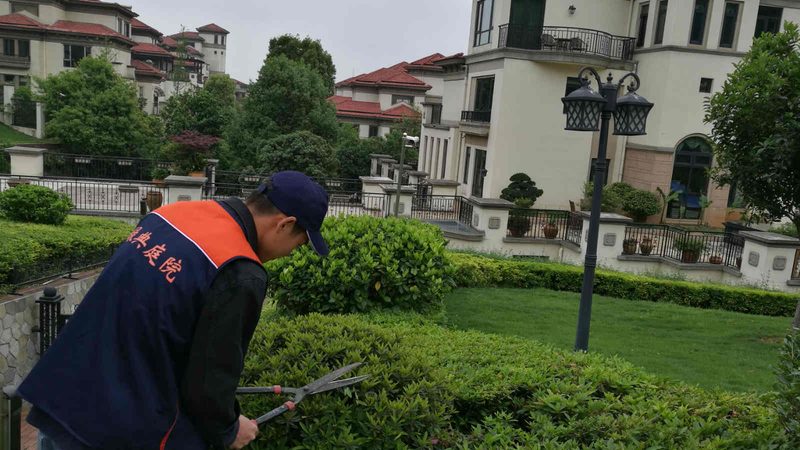 学校绿化养护公司哪家好