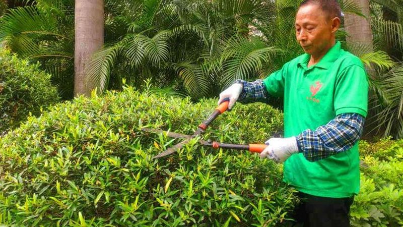 庭院设计材料报价明细：揭秘庭院绿化成本构成