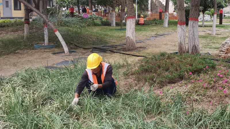 四川边坡绿化施工：成本构成与影响因素分析