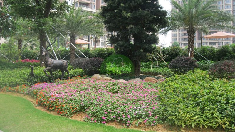 栖霞市苗木销售中心