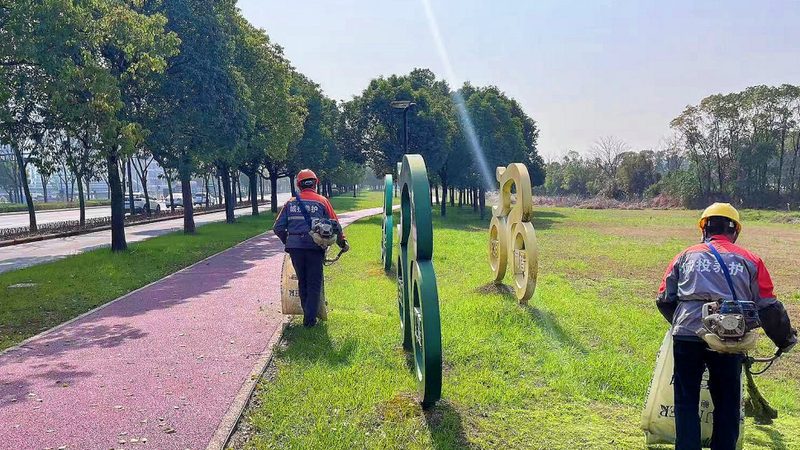 立体绿化中，这些藤本植物你了解吗？**
