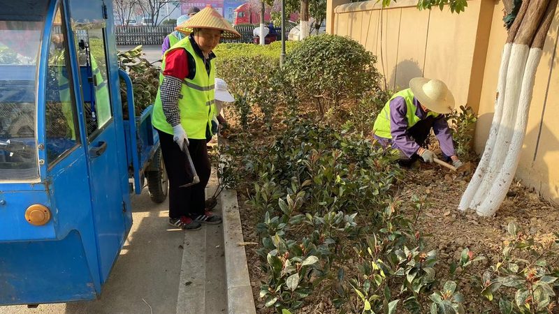 上海轻型屋顶绿化种植基质：选择与养护的关键**