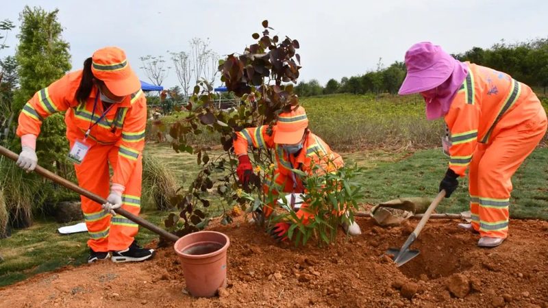 苏州古建修复：揭秘古建筑修复的技艺与选择之道**