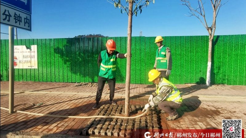 市政绿化土建技术参数：如何精准把握成本与质量