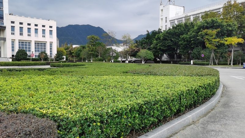 园林工程预算编制：关键步骤与注意事项**